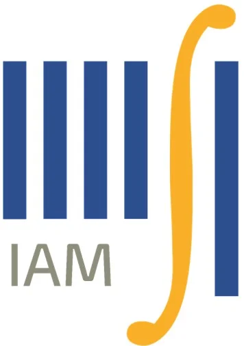 IAM optimiert.jpg