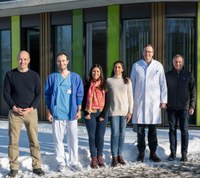 Bonn researchers gain completely new insights into kidney diseases  thanks to automated image analysis